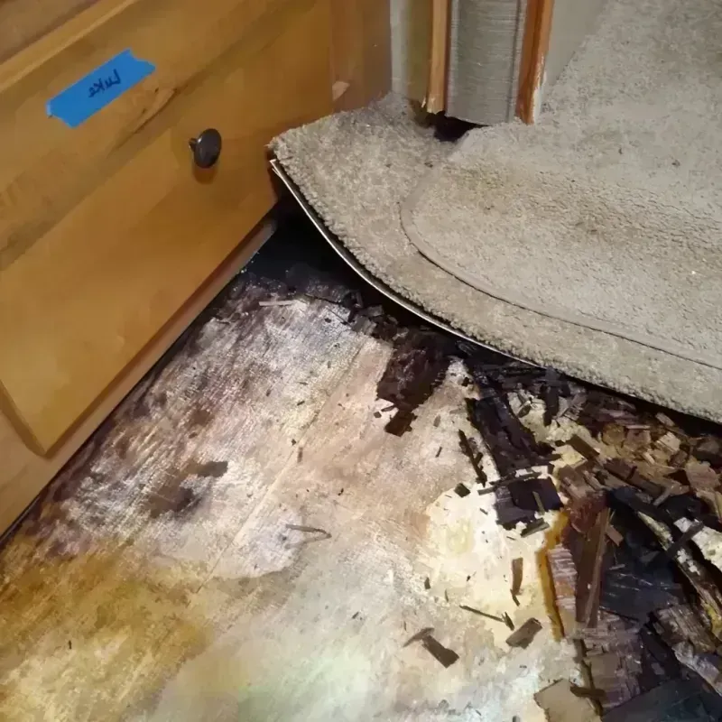 Best Wood Floor Water Damage Service in Alma, MI